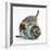 Two Cute Tabby Kittens, Stanley and Fosset, 7 Weeks, Playing with a Tube-Mark Taylor-Framed Photographic Print