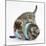 Two Cute Tabby Kittens, Stanley and Fosset, 7 Weeks, Playing with a Tube-Mark Taylor-Mounted Photographic Print