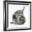 Two Cute Tabby Kittens, Stanley and Fosset, 7 Weeks, Playing with a Tube-Mark Taylor-Framed Photographic Print