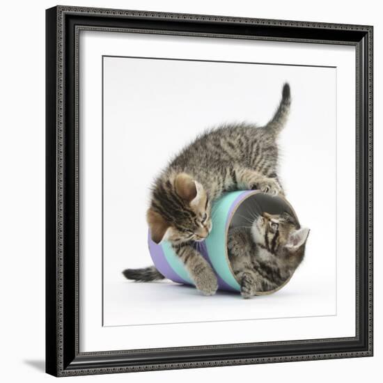 Two Cute Tabby Kittens, Stanley and Fosset, 7 Weeks, Playing with a Tube-Mark Taylor-Framed Photographic Print