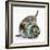 Two Cute Tabby Kittens, Stanley and Fosset, 7 Weeks, Playing with a Tube-Mark Taylor-Framed Photographic Print