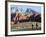 Two Cyclists, Red Rock Canyon National Conservation Area, Nevada, May 6, 2006-Jae C. Hong-Framed Photographic Print