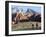 Two Cyclists, Red Rock Canyon National Conservation Area, Nevada, May 6, 2006-Jae C. Hong-Framed Photographic Print