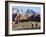 Two Cyclists, Red Rock Canyon National Conservation Area, Nevada, May 6, 2006-Jae C. Hong-Framed Photographic Print