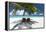 Two deck chairs under palm trees and tropical beach, The Maldives, Indian Ocean, Asia-Sakis Papadopoulos-Framed Premier Image Canvas