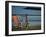 Two Deckchairs on the Seafront, Sidmouth, Devon, England, UK, Europe-John Miller-Framed Photographic Print