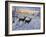 Two Deer in the Moonlight-Jeff Tift-Framed Giclee Print