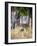 Two deer stags, India-Panoramic Images-Framed Photographic Print