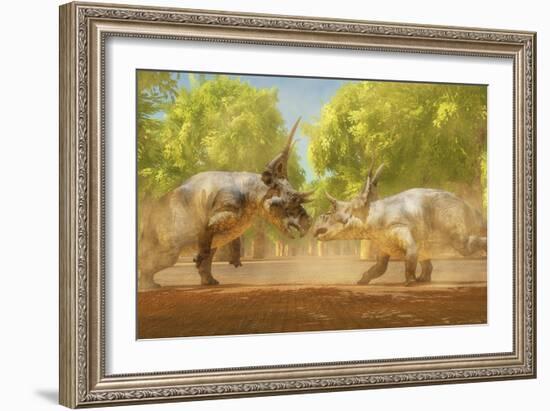 Two Diabloceratops Dinosaurs Fight for Mating Rights-Stocktrek Images-Framed Art Print