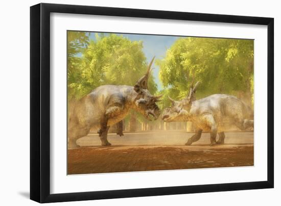 Two Diabloceratops Dinosaurs Fight for Mating Rights-Stocktrek Images-Framed Art Print