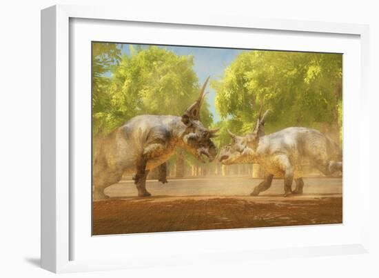 Two Diabloceratops Dinosaurs Fight for Mating Rights-Stocktrek Images-Framed Art Print