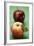 Two Different Apples (Varieties Elstar and Stark)-Foodcollection-Framed Photographic Print