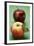 Two Different Apples (Varieties Elstar and Stark)-Foodcollection-Framed Photographic Print