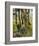 Two Diggers among Trees-Vincent van Gogh-Framed Art Print