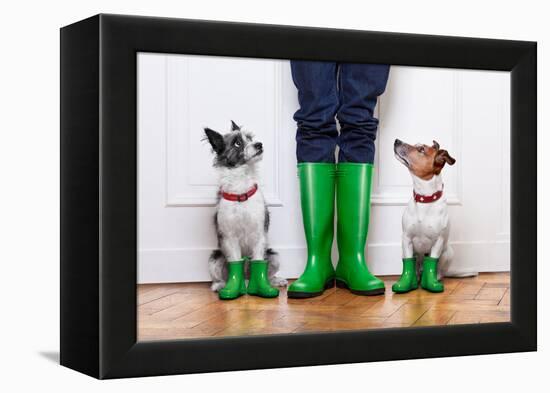 Two Dogs and Owner-Javier Brosch-Framed Premier Image Canvas