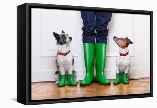 Two Dogs and Owner-Javier Brosch-Framed Premier Image Canvas