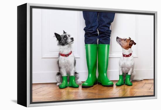 Two Dogs and Owner-Javier Brosch-Framed Premier Image Canvas