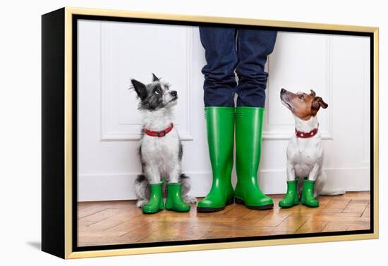 Two Dogs and Owner-Javier Brosch-Framed Premier Image Canvas