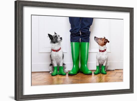 Two Dogs and Owner-Javier Brosch-Framed Photographic Print