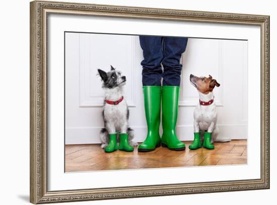 Two Dogs and Owner-Javier Brosch-Framed Photographic Print