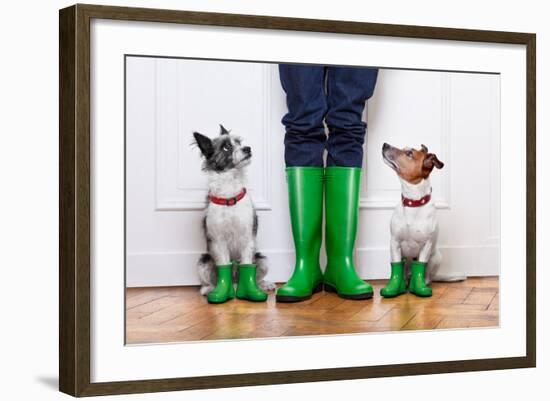 Two Dogs and Owner-Javier Brosch-Framed Photographic Print