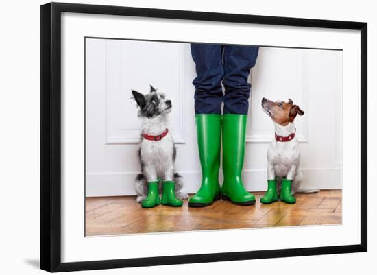 Two Dogs and Owner-Javier Brosch-Framed Photographic Print