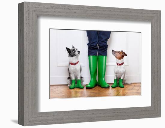 Two Dogs and Owner-Javier Brosch-Framed Photographic Print