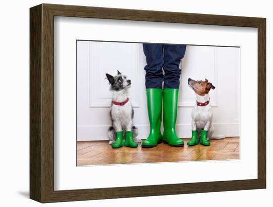 Two Dogs and Owner-Javier Brosch-Framed Photographic Print