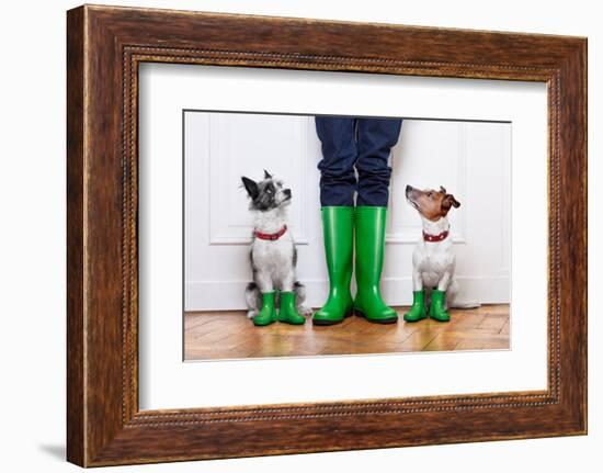 Two Dogs and Owner-Javier Brosch-Framed Photographic Print