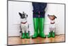 Two Dogs and Owner-Javier Brosch-Mounted Photographic Print