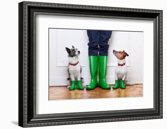 Two Dogs and Owner-Javier Brosch-Framed Photographic Print