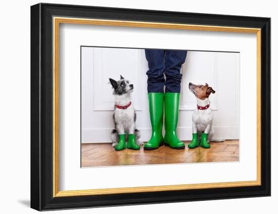 Two Dogs and Owner-Javier Brosch-Framed Photographic Print