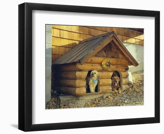 Two Dogs in a Dog House-DLILLC-Framed Photographic Print