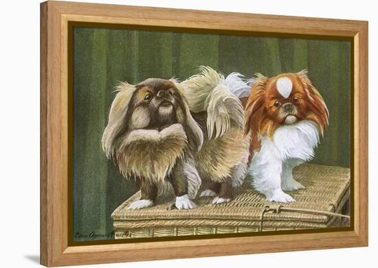 Two Dogs on a Basket-null-Framed Stretched Canvas