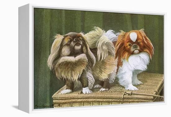 Two Dogs on a Basket-null-Framed Stretched Canvas