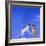 Two Dogs Playing-DLILLC-Framed Photographic Print