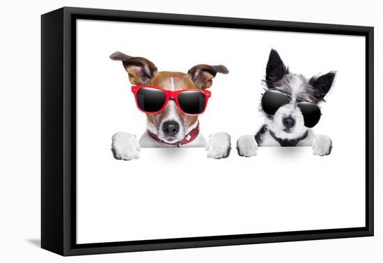 Two Dogs Very Close Together-Javier Brosch-Framed Premier Image Canvas