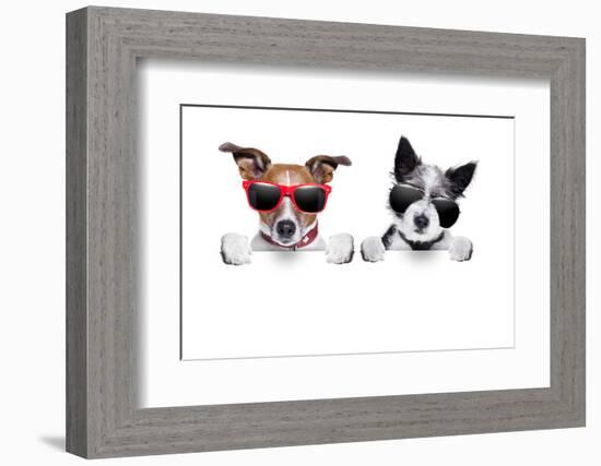 Two Dogs Very Close Together-Javier Brosch-Framed Photographic Print