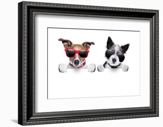 Two Dogs Very Close Together-Javier Brosch-Framed Photographic Print