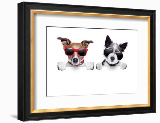 Two Dogs Very Close Together-Javier Brosch-Framed Photographic Print