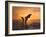 Two Dolphins-Hubert & Klein-Framed Art Print