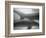 Two Dolphins-Henry Horenstein-Framed Photographic Print