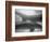 Two Dolphins-Henry Horenstein-Framed Photographic Print