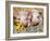 Two Domestic Piglets, Mixed-Breed-Lynn M. Stone-Framed Photographic Print