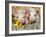 Two Domestic Piglets, Mixed-Breed-Lynn M. Stone-Framed Photographic Print