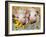 Two Domestic Piglets, Mixed-Breed-Lynn M. Stone-Framed Photographic Print