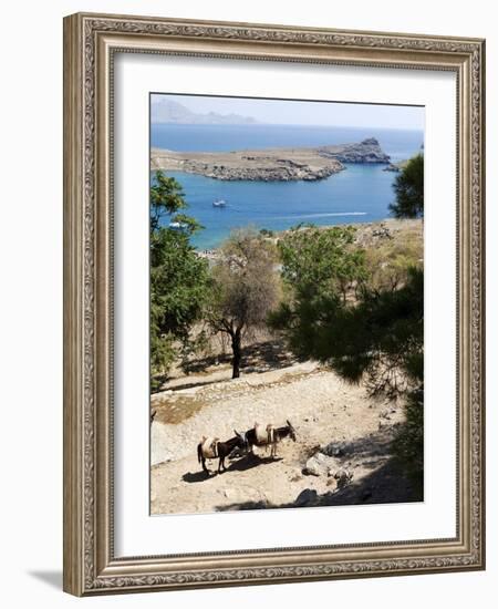 Two Donkeys in the St. Paul Bay, Lindos, Rhodes, Dodecanese, Greek Islands, Greece, Europe-Oliviero Olivieri-Framed Photographic Print