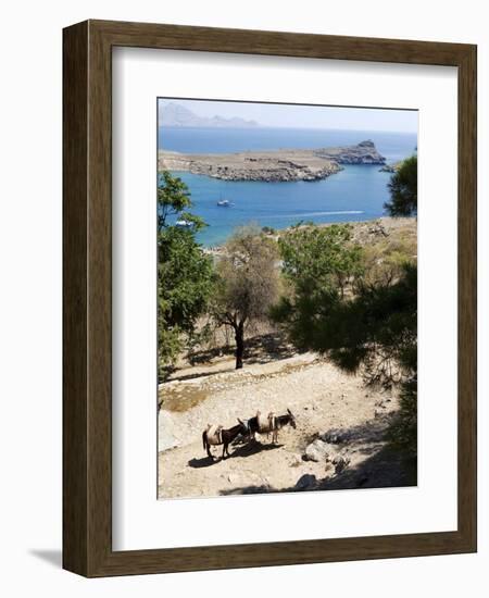 Two Donkeys in the St. Paul Bay, Lindos, Rhodes, Dodecanese, Greek Islands, Greece, Europe-Oliviero Olivieri-Framed Photographic Print