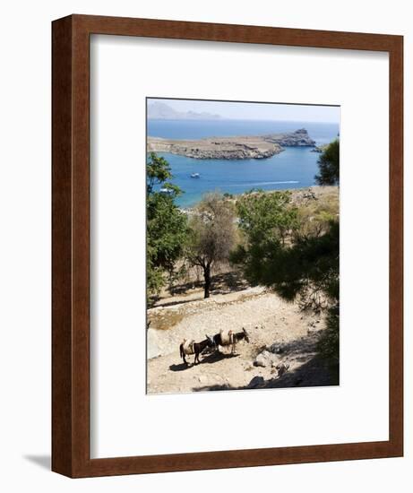 Two Donkeys in the St. Paul Bay, Lindos, Rhodes, Dodecanese, Greek Islands, Greece, Europe-Oliviero Olivieri-Framed Photographic Print