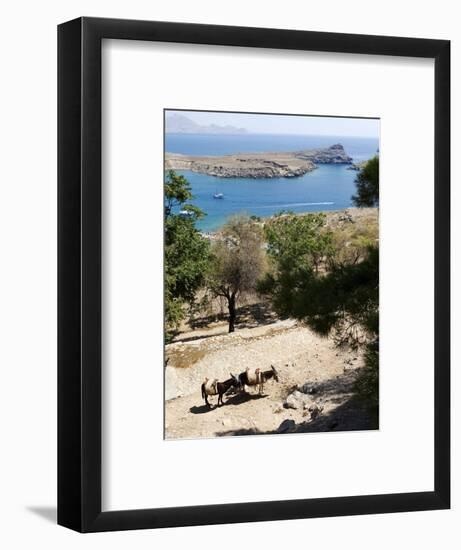 Two Donkeys in the St. Paul Bay, Lindos, Rhodes, Dodecanese, Greek Islands, Greece, Europe-Oliviero Olivieri-Framed Photographic Print